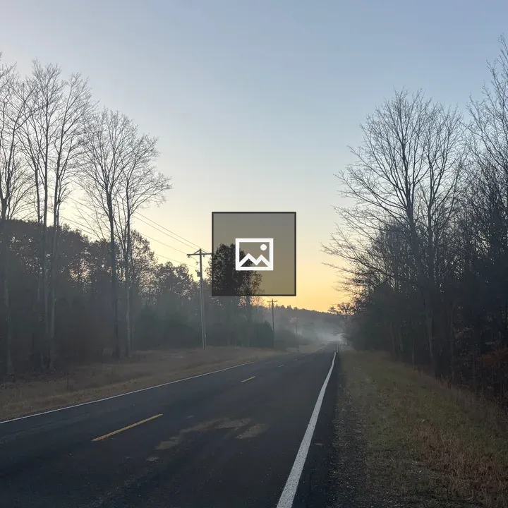 Long Road Through Forest