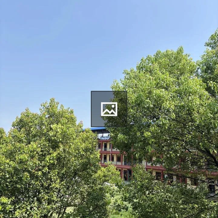 Bright Green Trees and Building