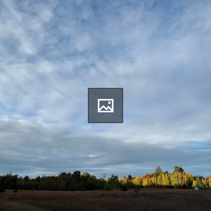 Open field with autumn trees