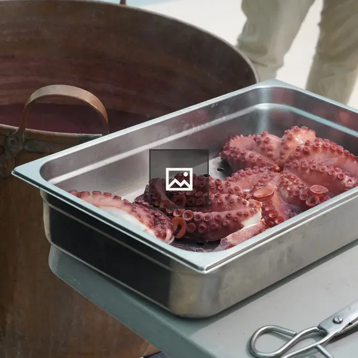 Octopus on a Stainless Tray
