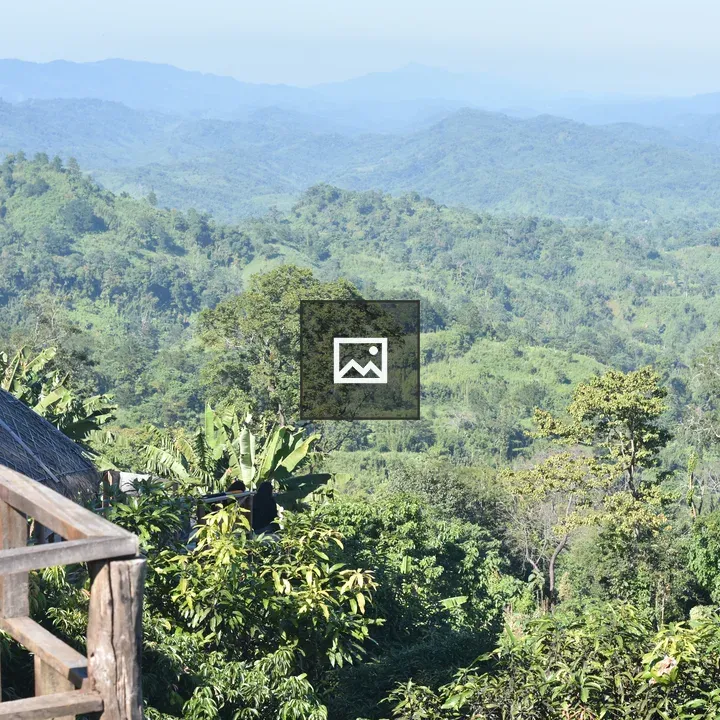 View from the deck over forest and hills