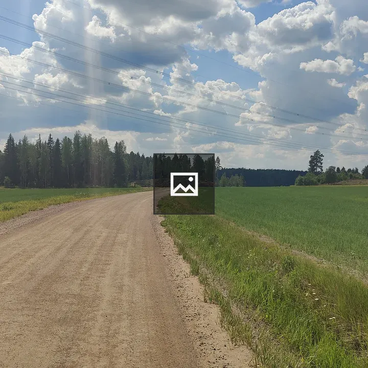 Dirt road with green grass