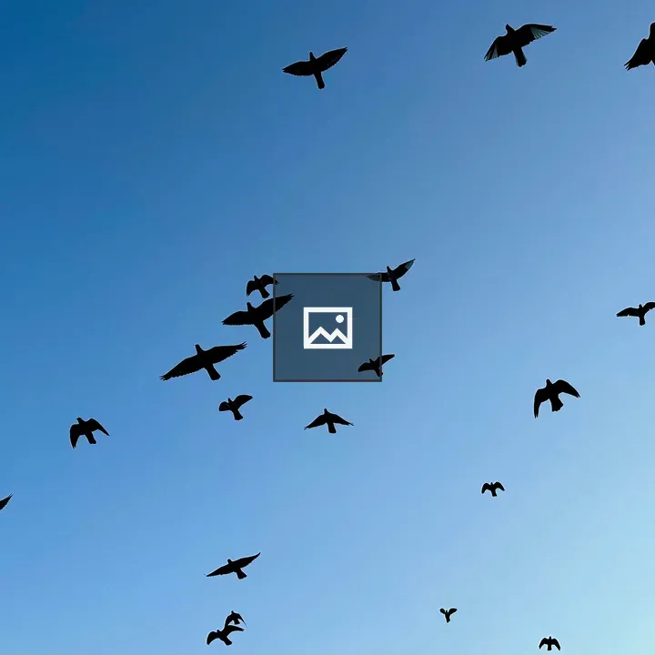Birds in Blue Sky