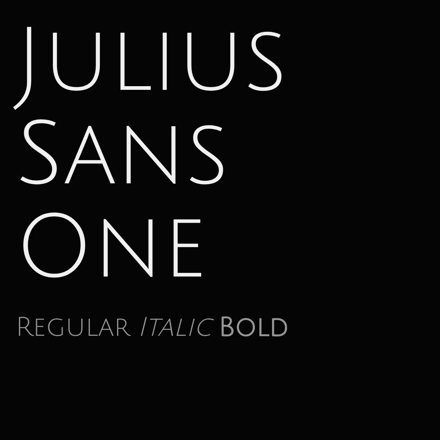 Julius Sans One