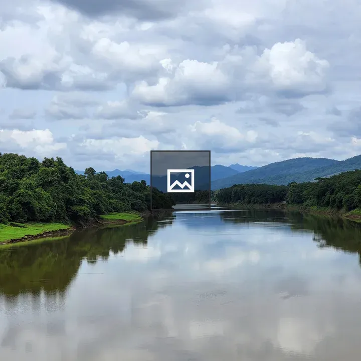 River through forest scene