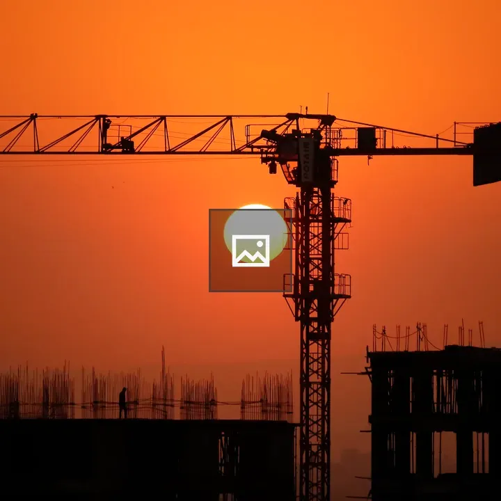 Crane Silhouette at Sunset