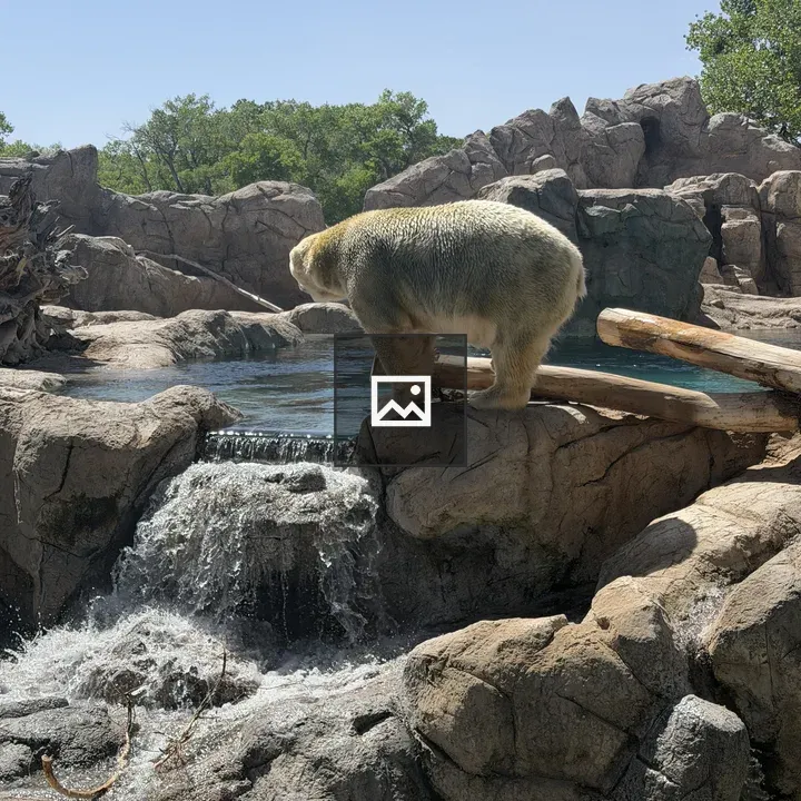 Polar bear in zoo enclosure