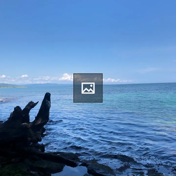 Driftwood on Turquoise Shore