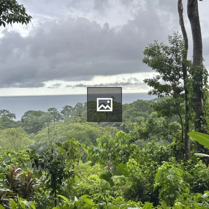 Tropical forest with distant ocean