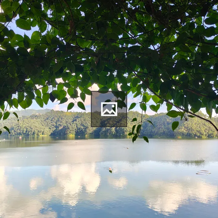 Lake scene with green leaves
