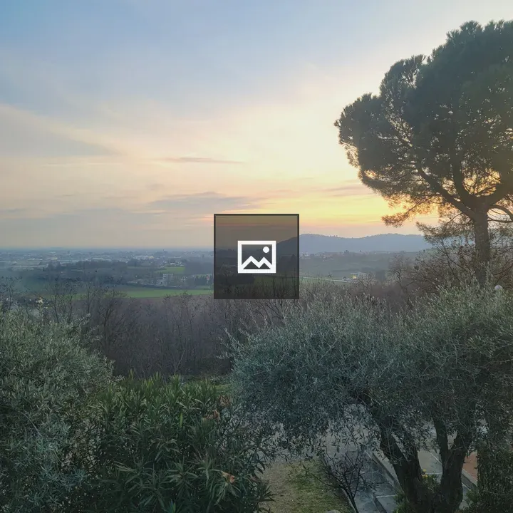 Landscape at Dusk with Olive Trees