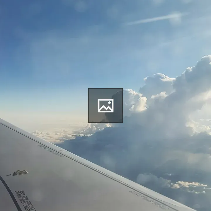 Wing in fly