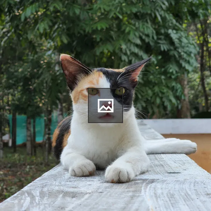 Cat lying on wall