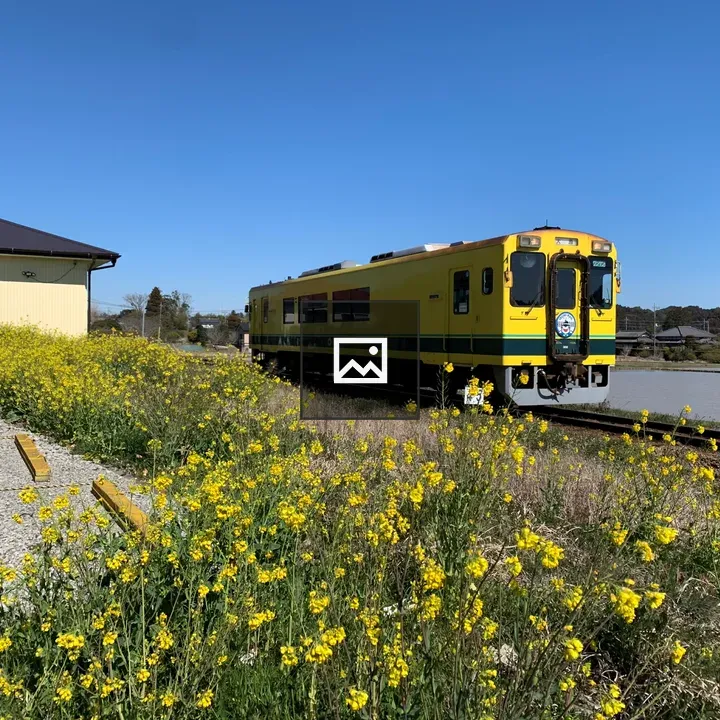 Isumi Railway with Flower View