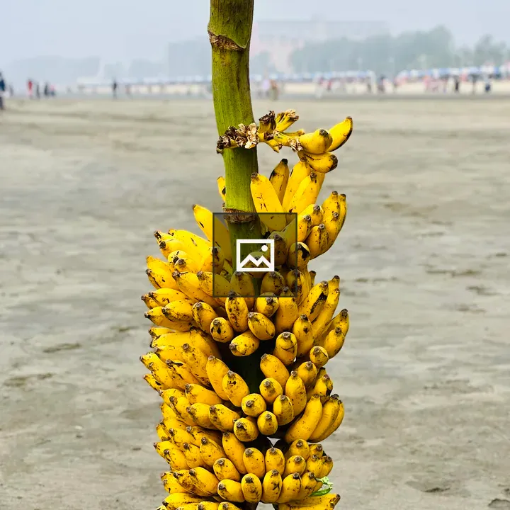 Bananas on a stick at the beach