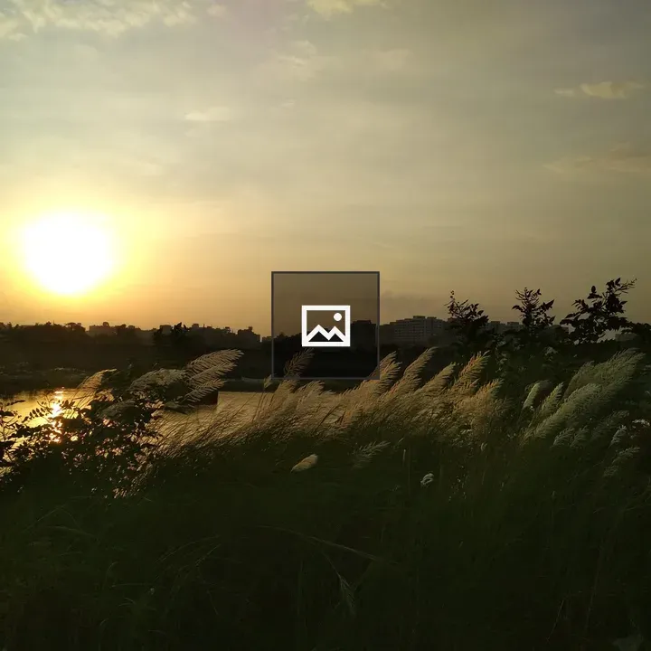 Kans grass at sunset