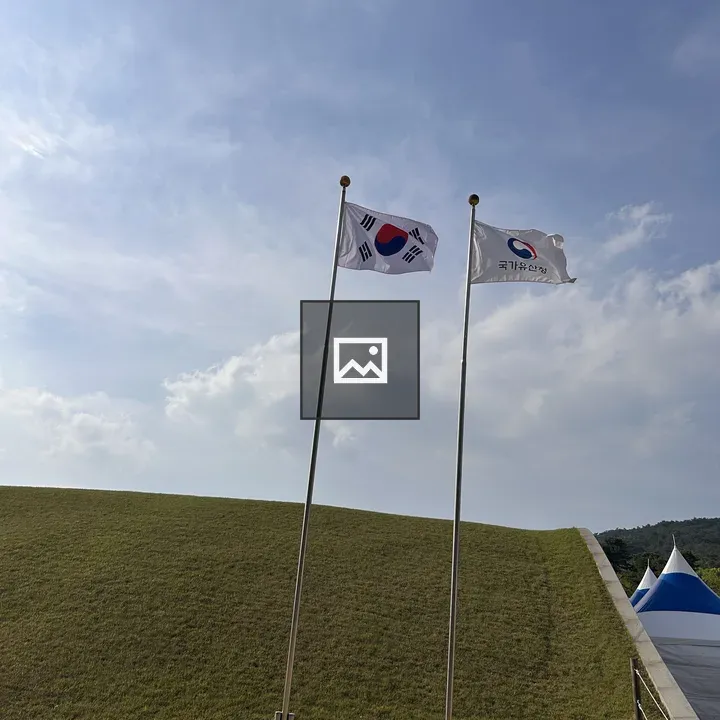 Flags on Poles over Grassland