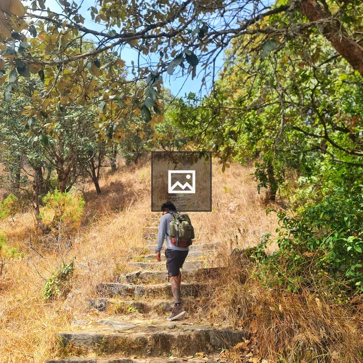 Trekker on Stone Stairs