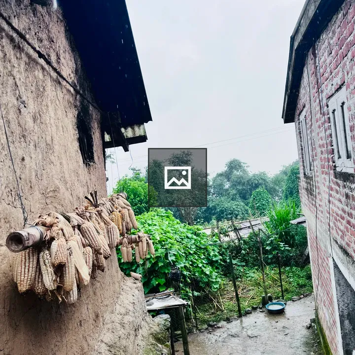 Two Rustic Walls with Corn Cobs