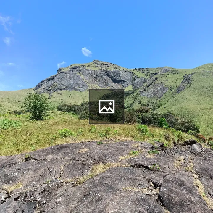 Eravikulam National Park landscape