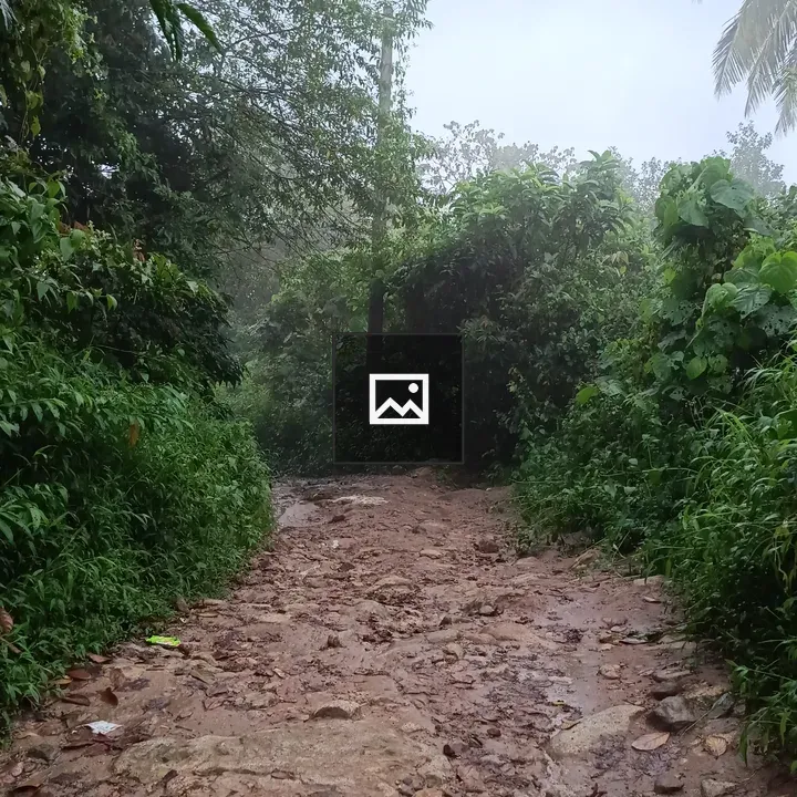 Road with Mud and Stones