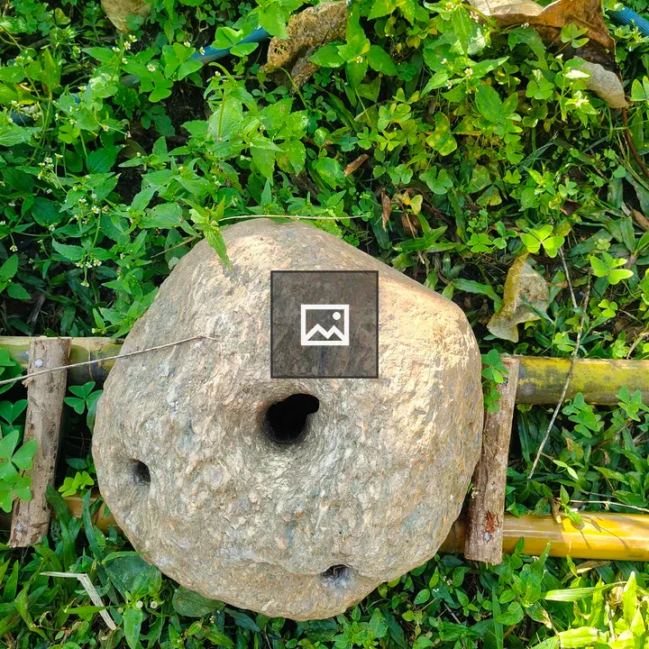 Round Jato Stone on Grass