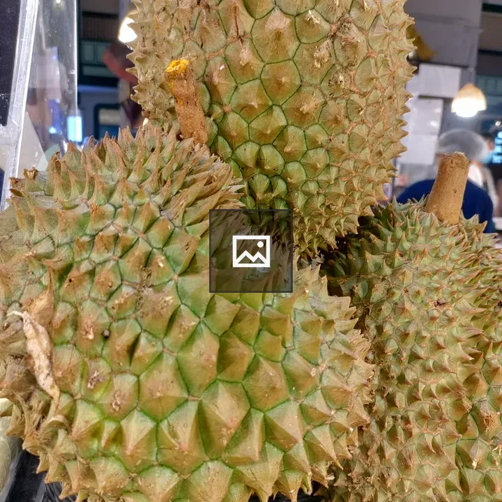 Durian fruit in portrait
