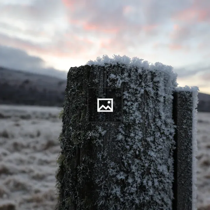 Frosted fence post at sunrise