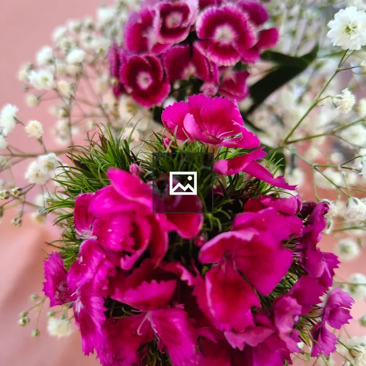 Pink and White Flower Portrait