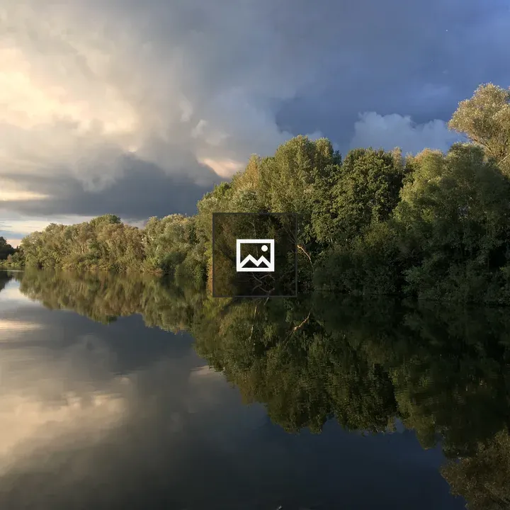 Lake with Reflection in Trees