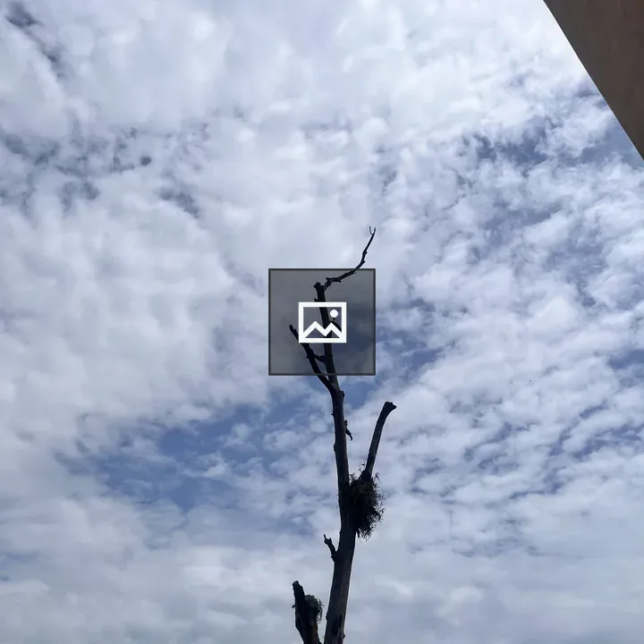 Tall dead tree against cloudy sky
