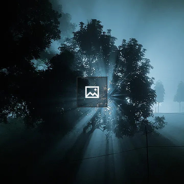 Foggy Winter Night Light