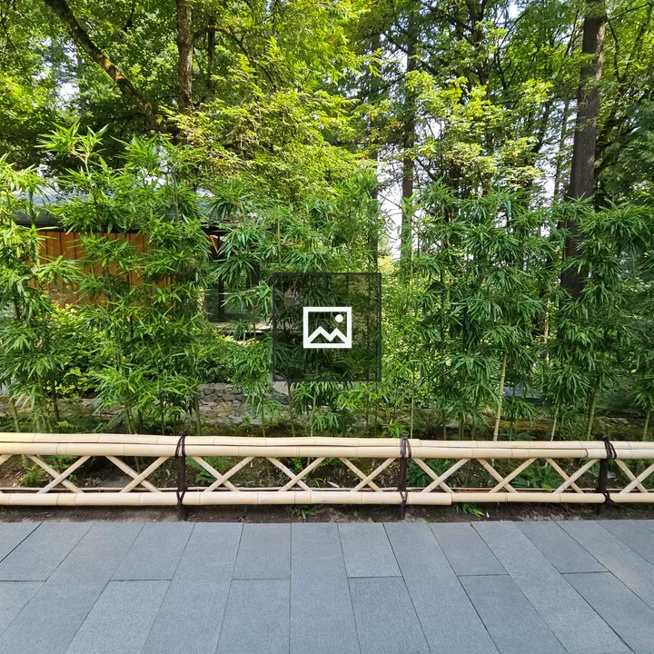 Bamboo Plants Behind Fence