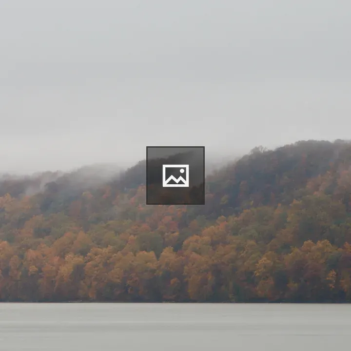 Hudson River Palisades in Autumn Fog