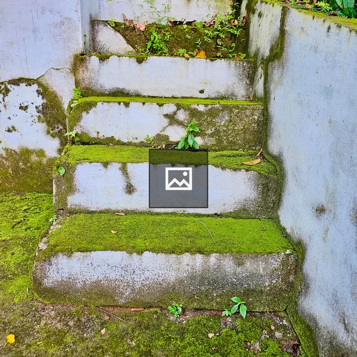 Old Mossy Concrete Steps