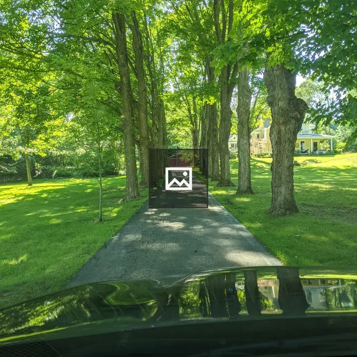 Tree Lined Drive