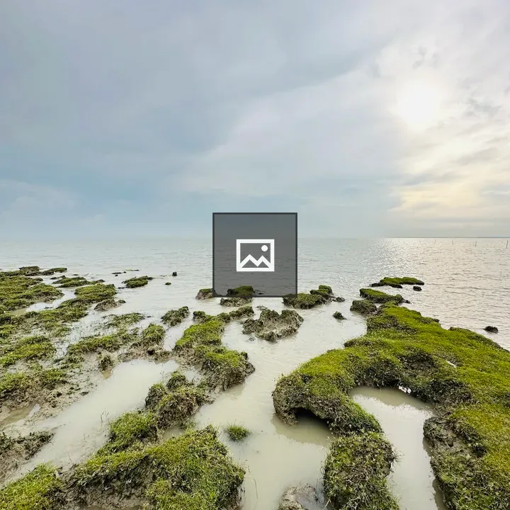 Coast View with Grass Covered Mud