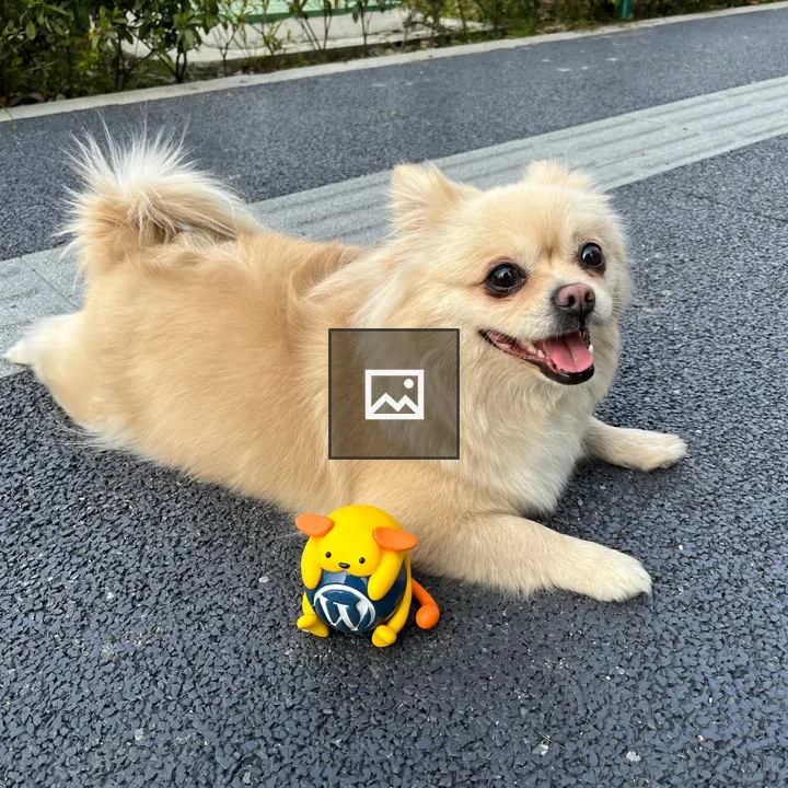 Wapuu and Dandan on the Road