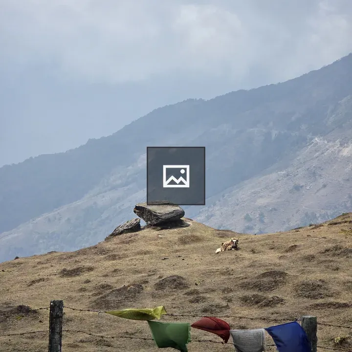 Barbed wire and prayer flags landscape