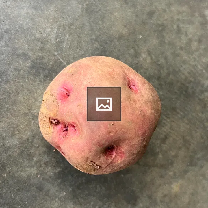 Orange Irish Potato
