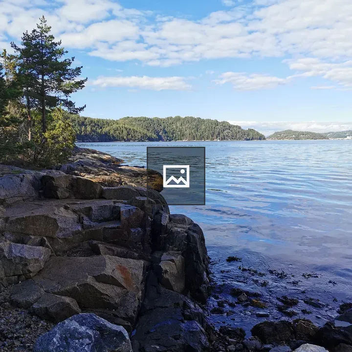 Rocks, Water and Trees