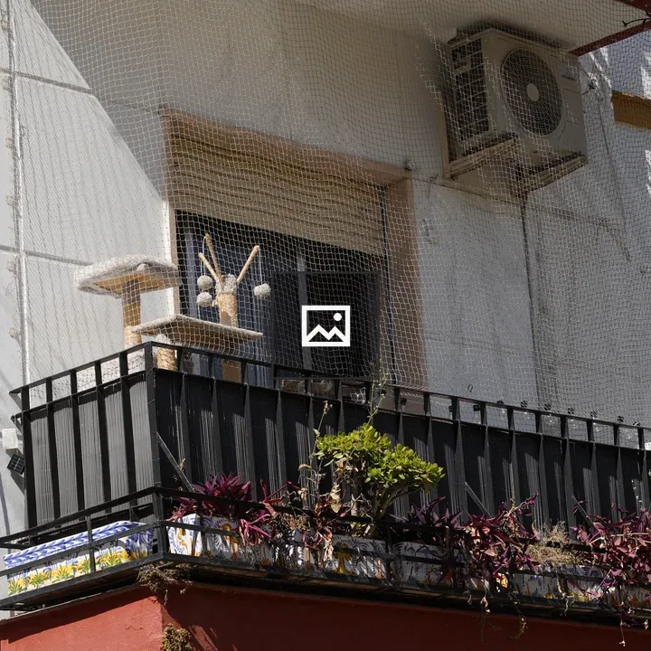 Balcony with cat tree and plants