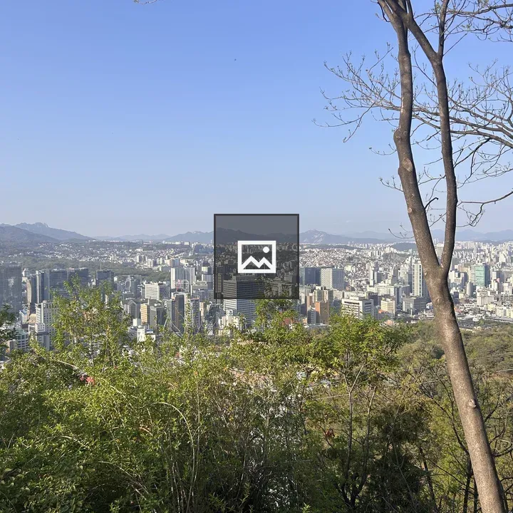 Cityscape with Mountains Viewed panorama