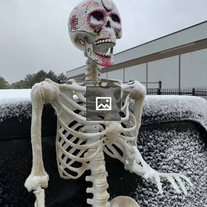 Skeleton torso on Jeep with frost