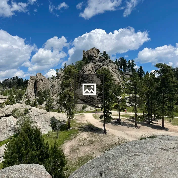 Rocky landscape with pine trees