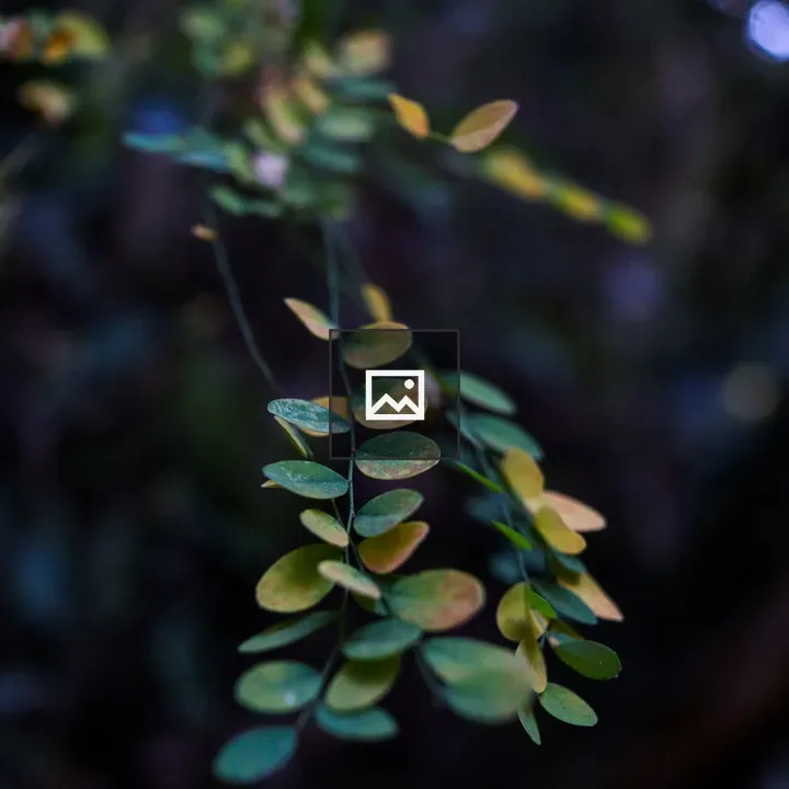 Leaves in Nature Portrait