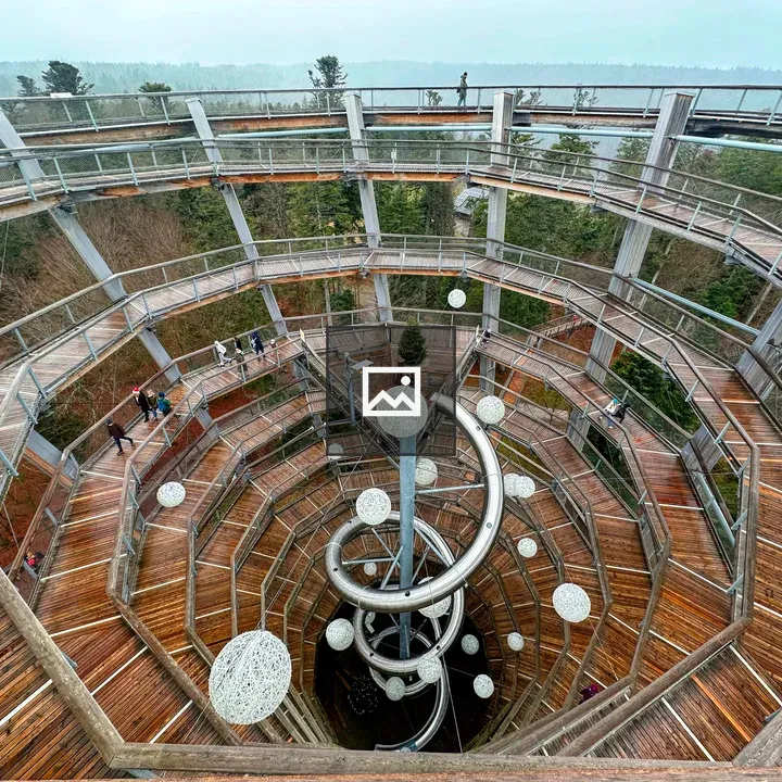 Spiral walkway to a treetop overlook