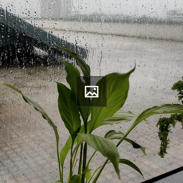 Rain on a Window with Houseplant