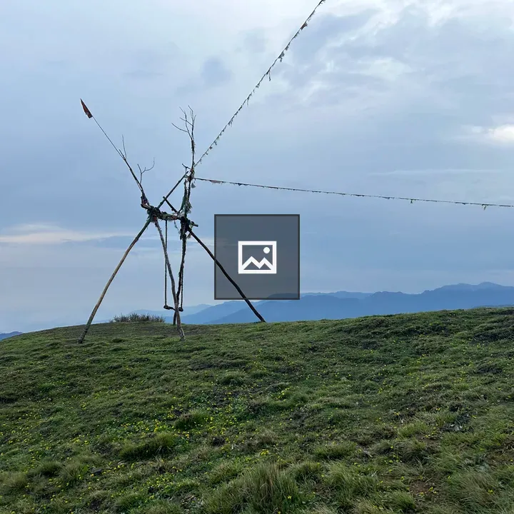 Makeshift swing on hillside
