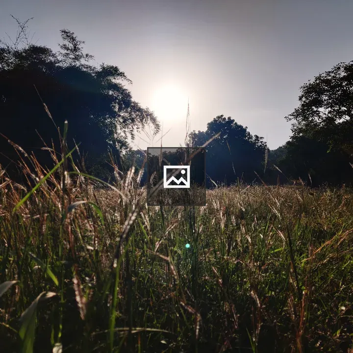 Grass field scene at OpenVerse Walk
